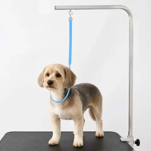 Lazo Cogotero Regulable Doble Traba Zeat 26 Cm